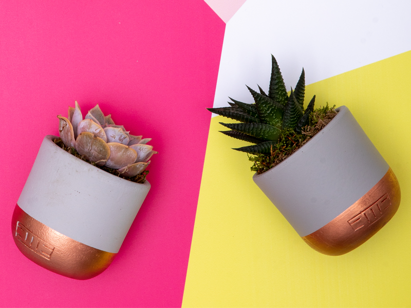 The Little Botanical
