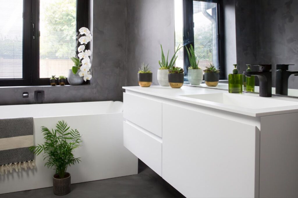 House plant online shop launch